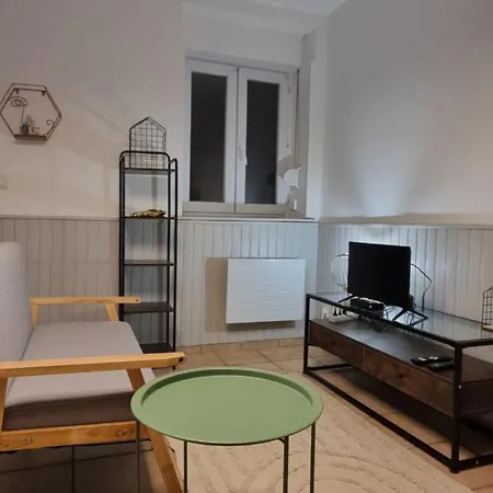 Lys Rdc Centre-Ville T2 Renove Cocon Cosy Parking 34M2 Charleville-Mezieres