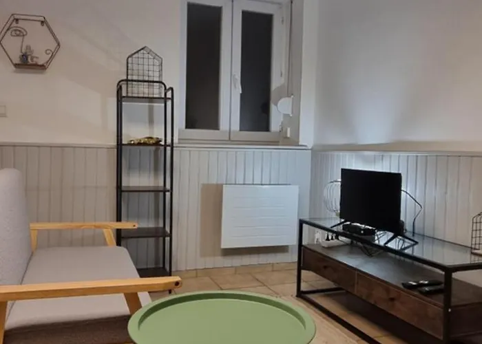 Lys Rdc Centre-Ville T2 Renove Cocon Cosy Parking 34M2 Charleville-Mezieres